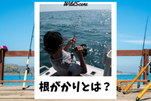 Read more about the article 根がかりとは？