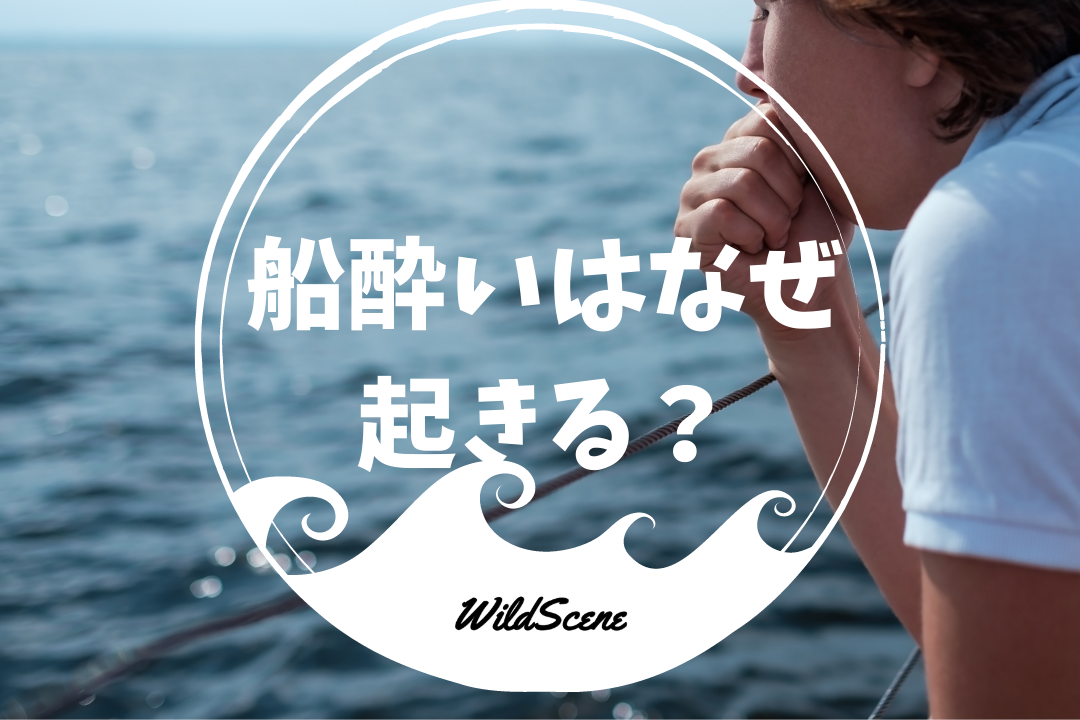 Read more about the article 船酔いはなぜ起きる？