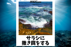 Read more about the article サラシに撒き餌をする