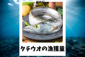 Read more about the article タチウオの漁獲量