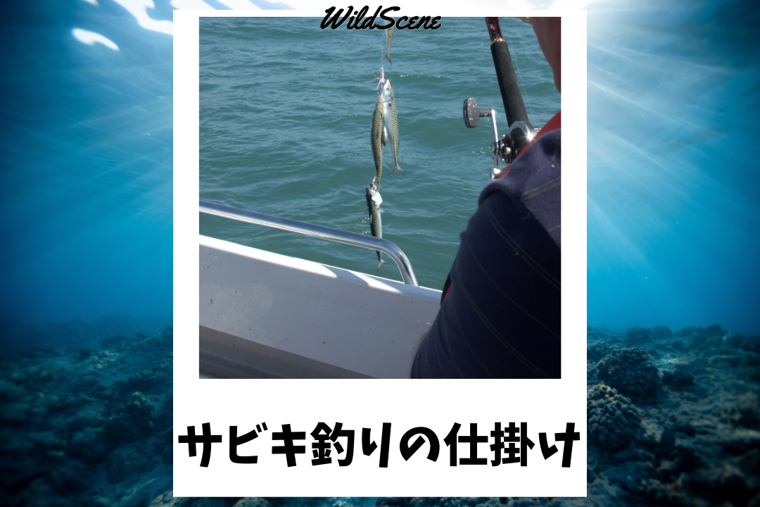 Read more about the article サビキ釣りの仕掛け