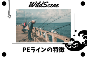 Read more about the article PEラインの特徴