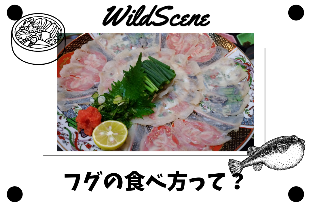 Read more about the article フグの食べ方って？