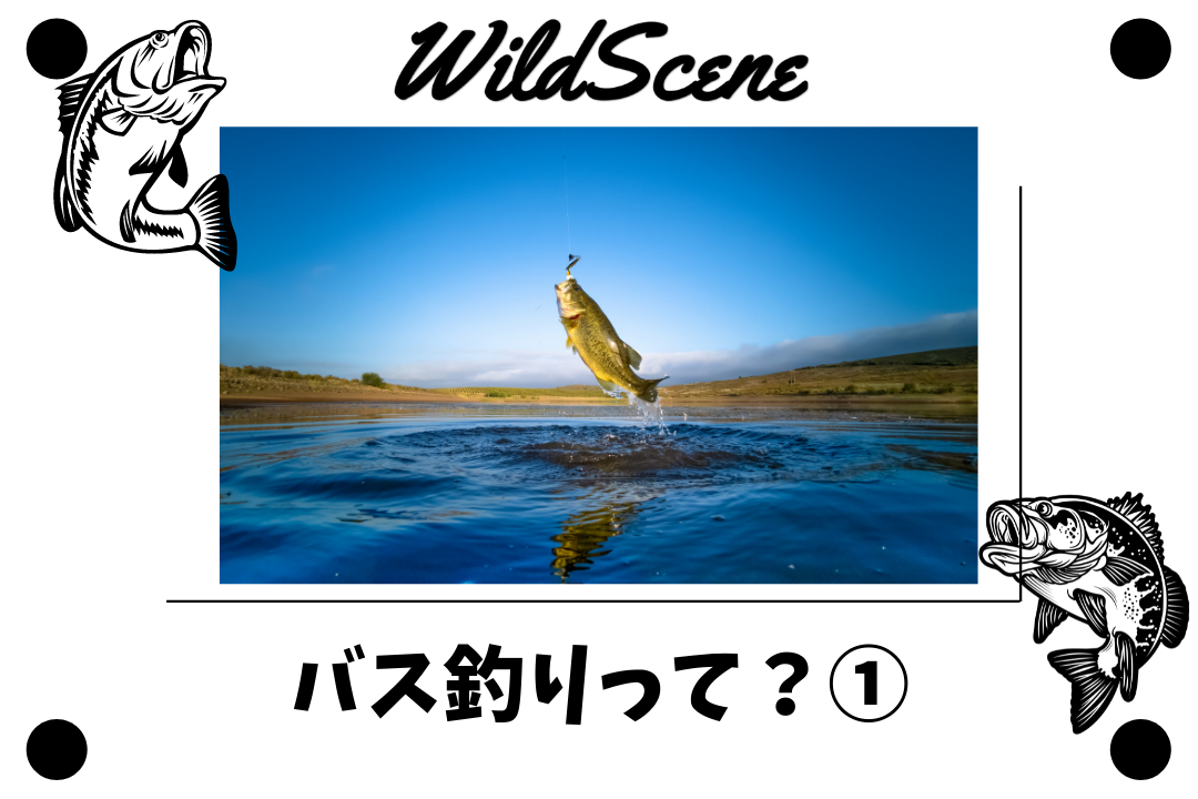 Read more about the article バス釣りって？①