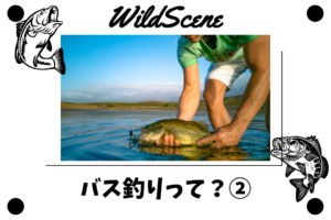 Read more about the article バス釣りって？②