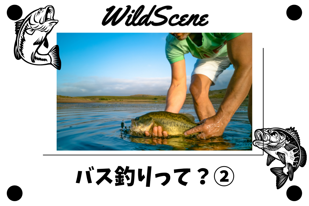 Read more about the article バス釣りって？②