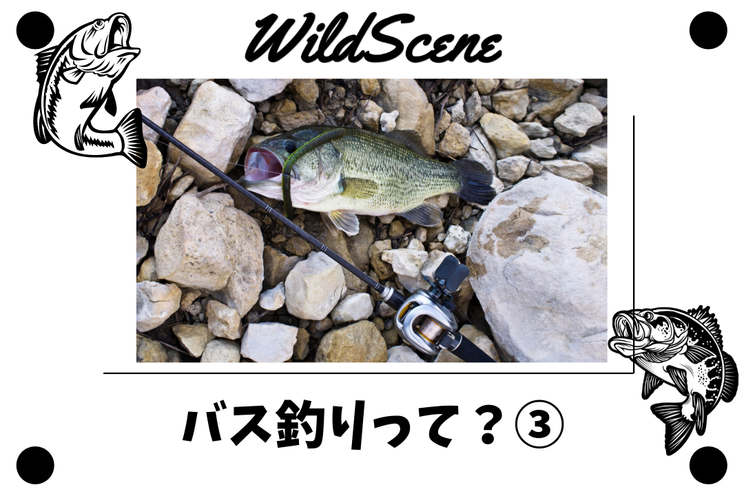 Read more about the article バス釣りって？③