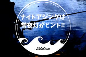 Read more about the article ナイトアジングは常夜灯がヒント‼️