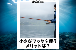 Read more about the article 小さなフックを使うメリットは？