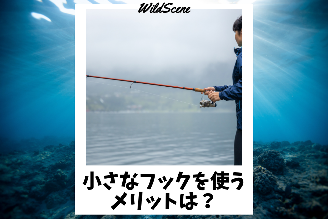 Read more about the article 小さなフックを使うメリットは？