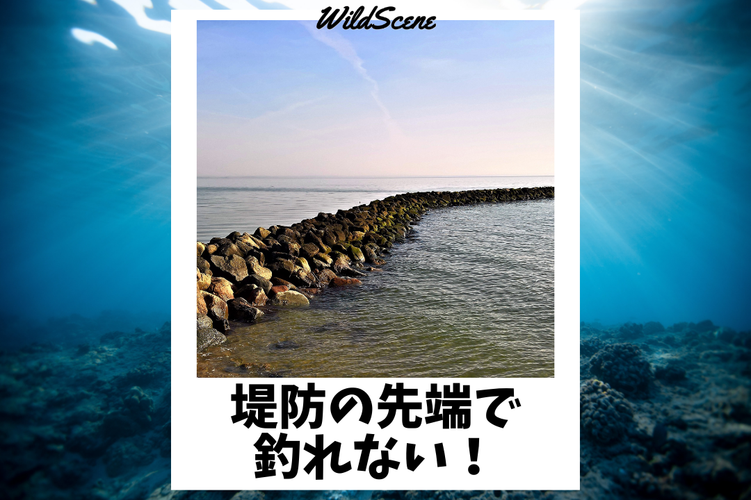 Read more about the article 堤防の先端で釣れない！