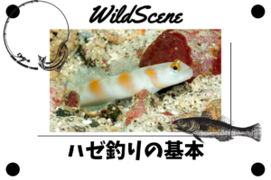 Read more about the article ハゼ釣りの基本