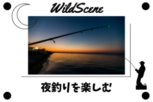 Read more about the article 夜釣りを楽しむ