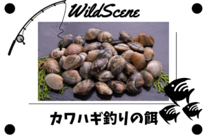 Read more about the article カワハギ釣りの餌