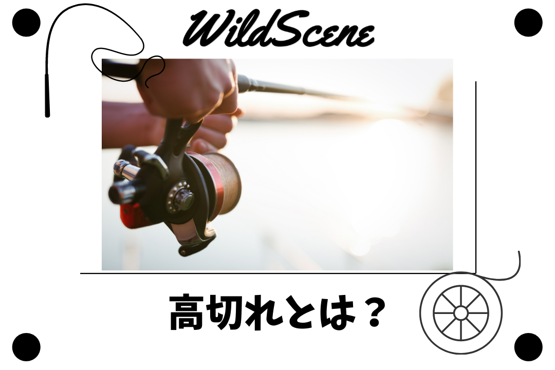 Read more about the article 高切れとは？