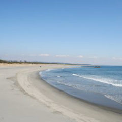 サーフフィッシングの釣り方