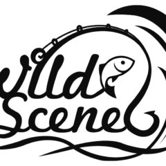 WildScene公式ホームページを公開しました。