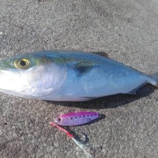 メタルジグの釣り方