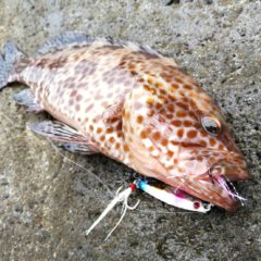 初心者にオススメなショアジギング