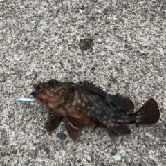 1月にルアーを楽しみたい！