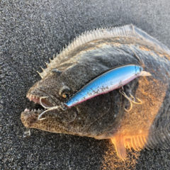 12月によく釣れる魚は？