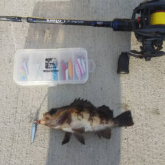 マイクロジグの活躍ポイント