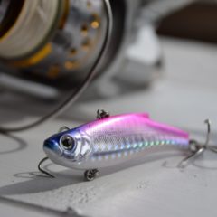 ソルトルアーについての基礎知識