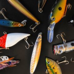 ルアーは何処で購入しますか？