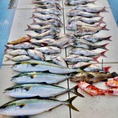 めちゃくちゃ魚が釣れる県はどこ？ 都道府県ランキング TOP5！