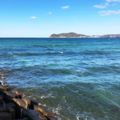 ルアーで釣れる6月が旬のお魚ランキング