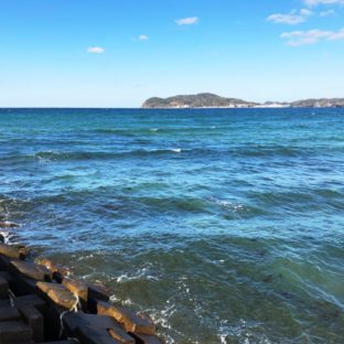 ルアーで釣れる6月が旬のお魚ランキング