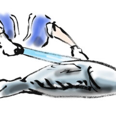 【釣った魚をおいしく食べる秘訣とは？｜魚の簡単な絞めかたを紹介】