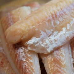 【釣った魚を捌くために覚えておきたいこと】”旬”をとことん楽しむ