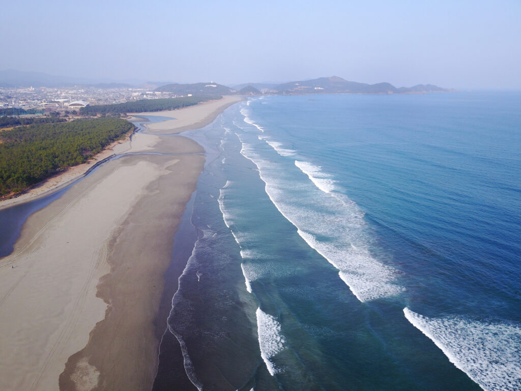 宮崎県 ルアー釣り 宮崎サーフに潜むモンスター魚オオニベとは Wild Scene Wild Scene公式オンラインショップ