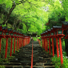 【水神】『貴船神社　〜会社と「水」と、時々ライフジャケット〜』【縁結び】