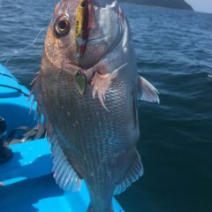 【釣行日記】カヤックフィッシングを楽しむ|めちゃくちゃ釣れます!