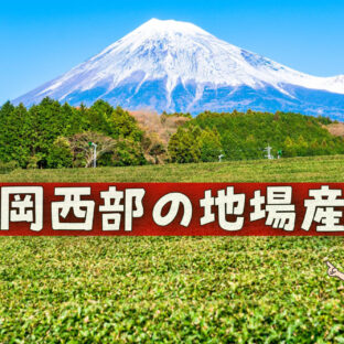 地元直産！？静岡西部の地場産品が手に入る場所！〜海沿い編〜【レア】
