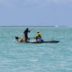 【SDGs】🐟14ー4・持続可能な漁業とは❓今世界で起こっている事🎣【環境問題】
