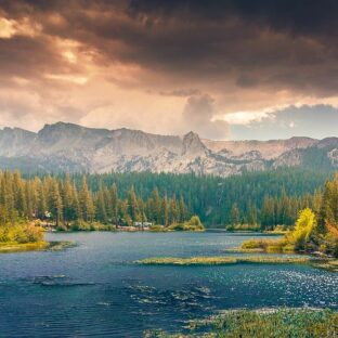 【水質汚染】川にゴミが流出するメカニズム【海洋汚染】