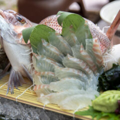 【マダイの調理法】から【旬の食べ方】 | マダイに合うお酒は?