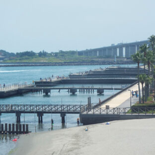 🛩静岡県浜松エリアのファミリー向けアクティビティ 【第一弾】🚤