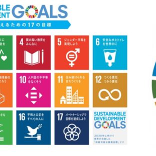 🌎持続可能な開発目標【SDGs】🌍