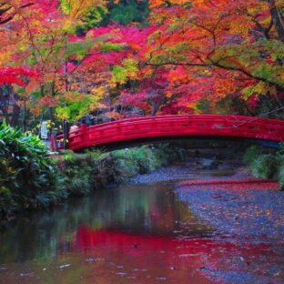 🏮遠江に伝わる不思議な話 〜遠州七不思議〜🏮【前編】