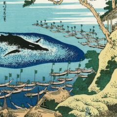 🐟　魚族供養の歴史と成り立ち　🪦