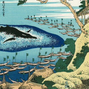 🐟 魚族供養の歴史と成り立ち 🪦