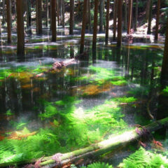 🌊 遠江に伝わる不思議な話　〜遠州七不思議〜【浜松編】🌊