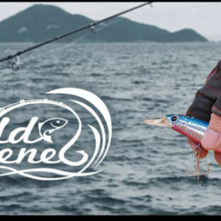 🧤フィッシンググローブのススメ！〜なぜ必要なのか？〜🐟