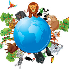 🐜 　生物多様性ってなに？？わかり易く解説　💡