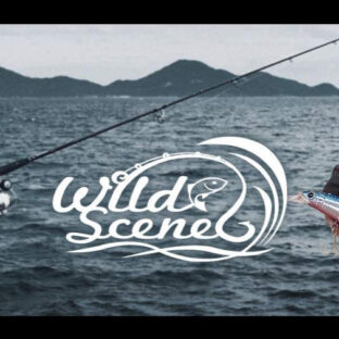 WildSceneåå玹ä»ïŒãããªãã¬ã³ãã£ãã·ã³ã°ã°ããŒãã