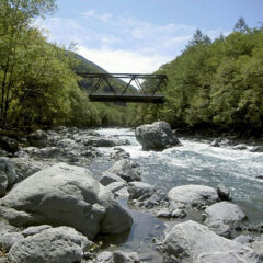 遊魚券が必要な静岡の川と詳細情報【中部地区】